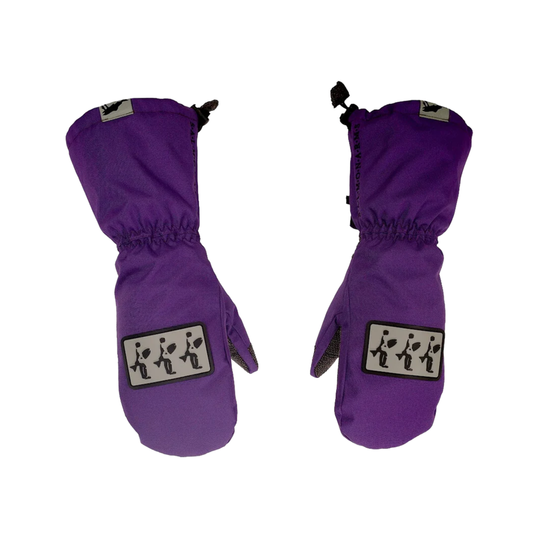 SALMON ARMS - RETRO MITT - SALMON BEACH -