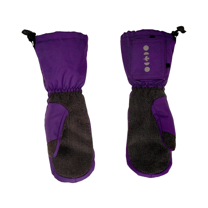 SALMON ARMS - RETRO MITT - SALMON BEACH -